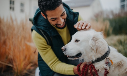 Local Dog Parks Cover Image